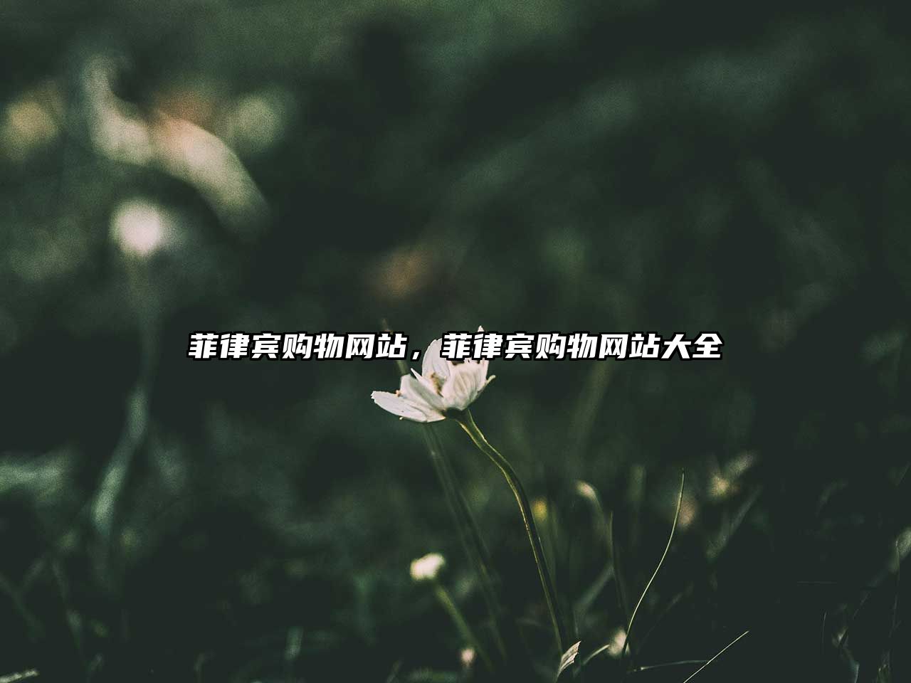 菲律賓購物網(wǎng)站，菲律賓購物網(wǎng)站大全