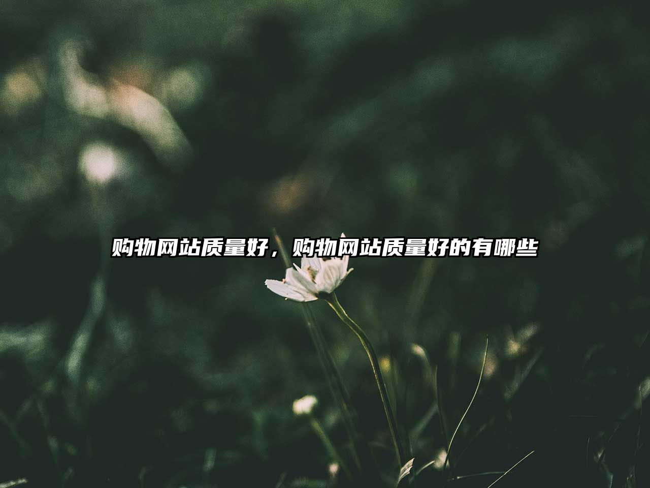 購(gòu)物網(wǎng)站質(zhì)量好，購(gòu)物網(wǎng)站質(zhì)量好的有哪些