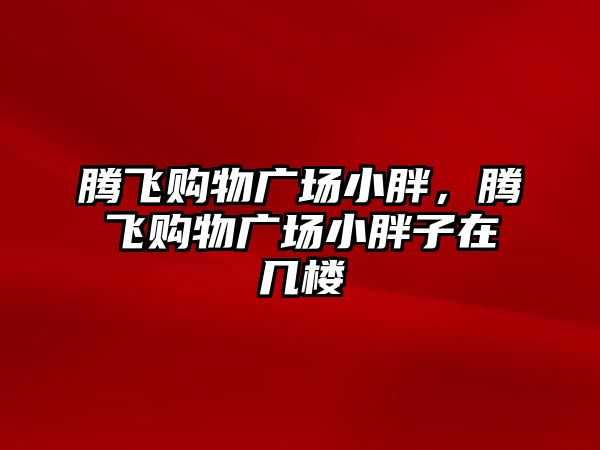 騰飛購物廣場小胖，騰飛購物廣場小胖子在幾樓