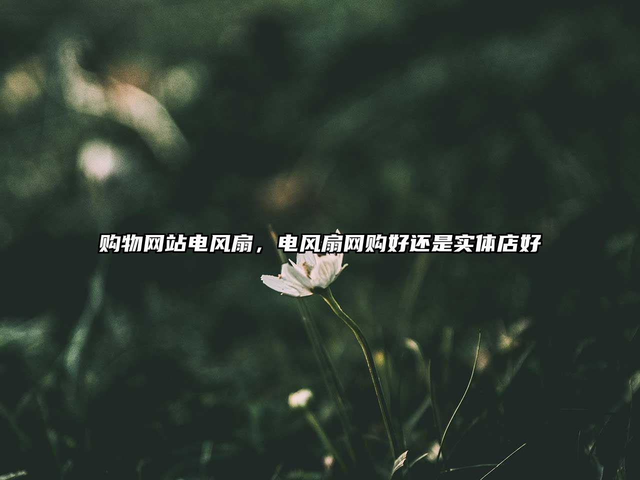 購(gòu)物網(wǎng)站電風(fēng)扇，電風(fēng)扇網(wǎng)購(gòu)好還是實(shí)體店好