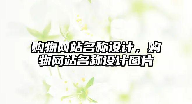 購物網(wǎng)站名稱設(shè)計，購物網(wǎng)站名稱設(shè)計圖片