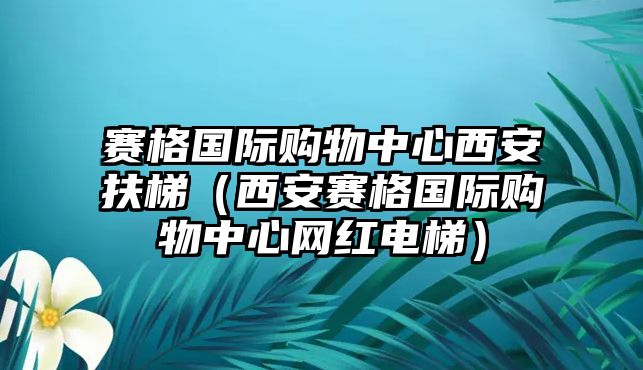 賽格國(guó)際購(gòu)物中心西安扶梯（西安賽格國(guó)際購(gòu)物中心網(wǎng)紅電梯）